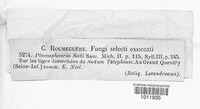 Image Associated With the Occurence